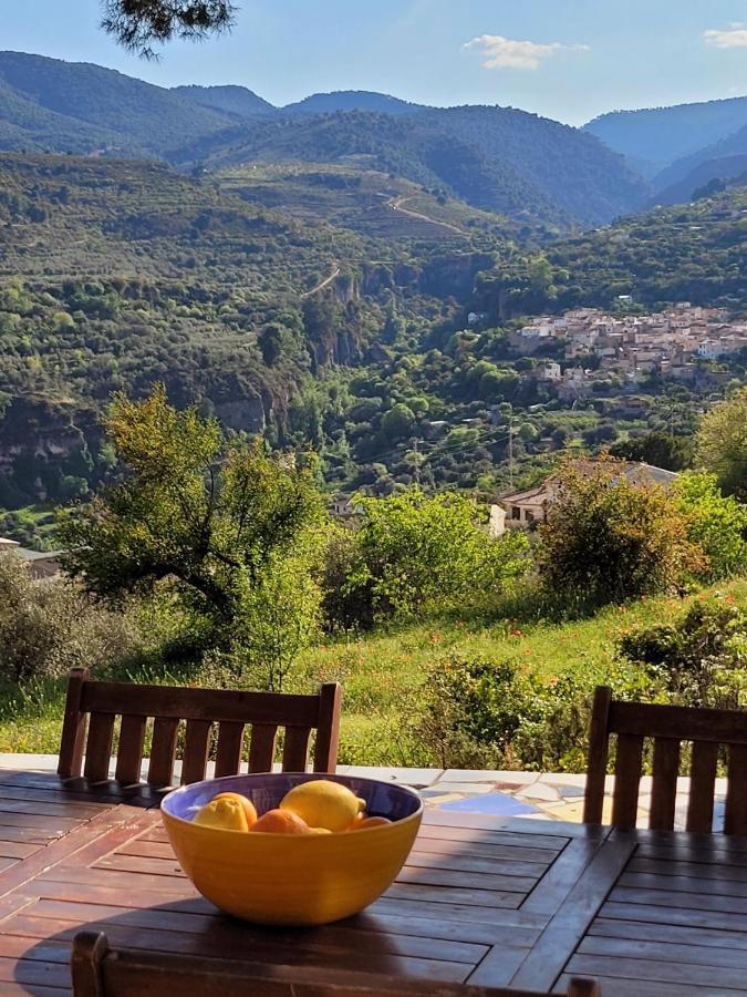 Cortijo El Pino Retreat Panzió Albuñuelas Kültér fotó