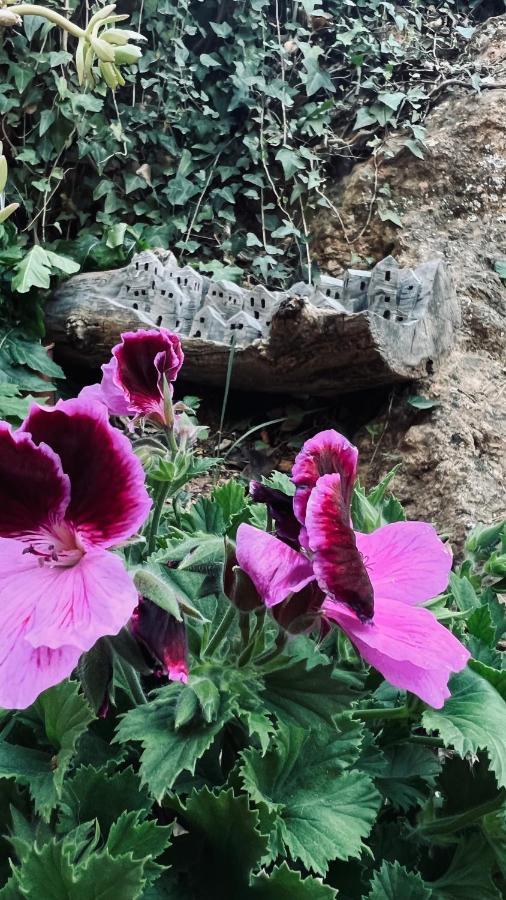 Cortijo El Pino Retreat Panzió Albuñuelas Kültér fotó
