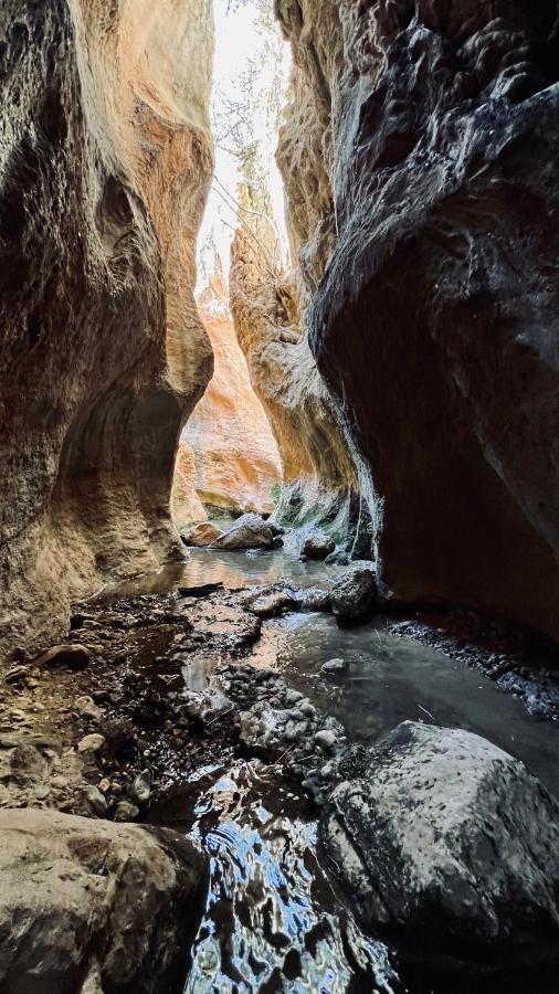 Cortijo El Pino Retreat Panzió Albuñuelas Kültér fotó
